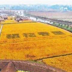 稻花香里农耕文化园
