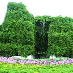 兰州植物园
