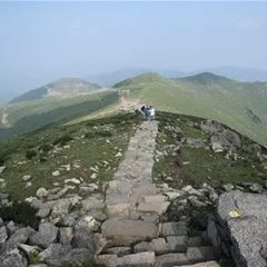 灵山古道森林公园