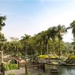 广西药用植物园