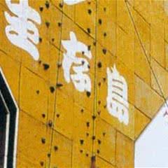 生存岛