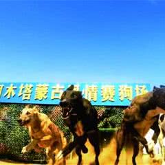 阿木塔蒙古风情岛