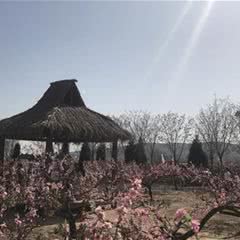青草坡乡村庄园