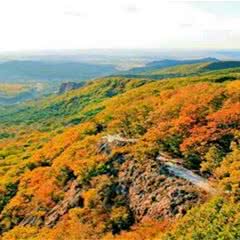 壹台山骆驼峰景区