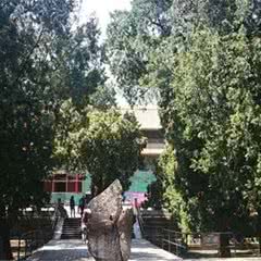 虎山公园