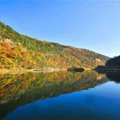 陕西黄陵国家森林公园
