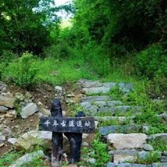 终南山秦楚古道