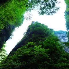 金丝峡景区