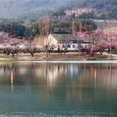 香山景区