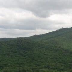 透龙山