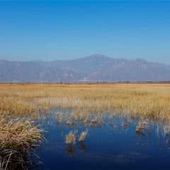 北京野鸭湖国家湿地公园