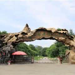 莲花山森林公园