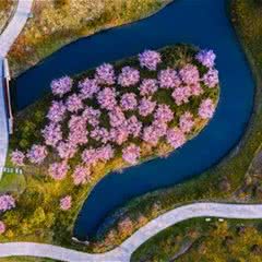 花开海上生态园
