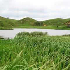 仰天湖草原风景区