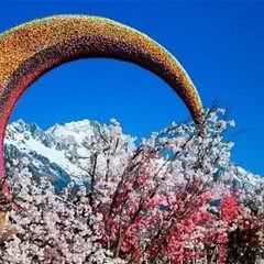 雪山玫瑰庄园