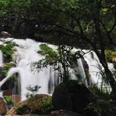 屏峰雨林公园