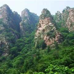 五指山热带雨林风景区