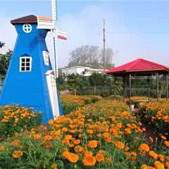 梦幻香山芳香文化园