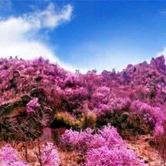 大珠山