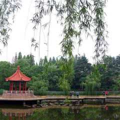 青岛中山公园