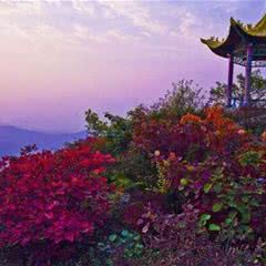 轿顶山红叶风景区