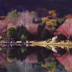 蝴蝶泉