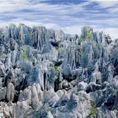丫山花海石林
