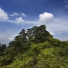 圣灯山
