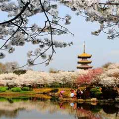 东湖磨山景区