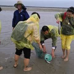 红树林疍家赶海