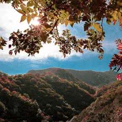 大熊山摘星楼风景区