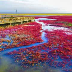 红海滩国家风景廊道