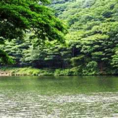 本溪龙道沟