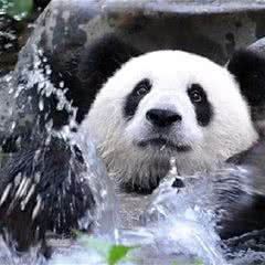 桂林动物园