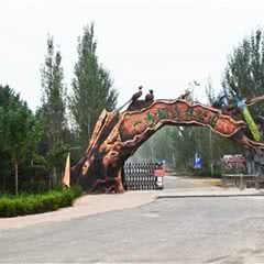 一马树森林公园
