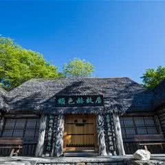 讷殷古城