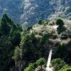 望仙大峡谷