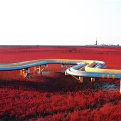 盘锦红海滩风景区