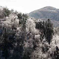 大围山国家森林公园
