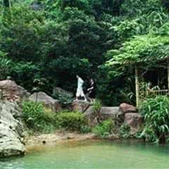 南海湾森林生态园