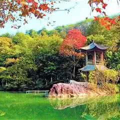 野趣沟