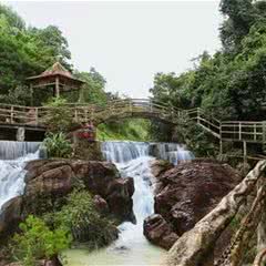 紫莲森林度假村