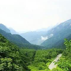西安鲸鱼沟竹海风景区