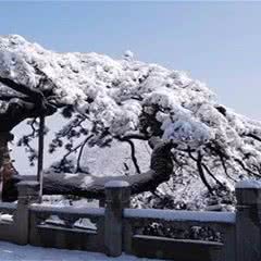 戒台寺