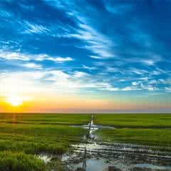 东滩湿地公园
