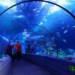 北海海底世界
