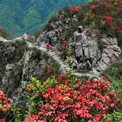 金子山原生态旅游风景区