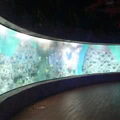 海洋大世界