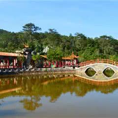 上思县百鸟乐园