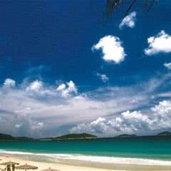 大东海